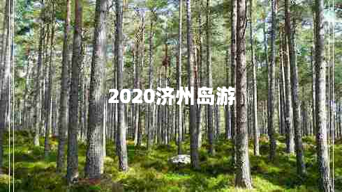 2020濟(jì)州島游