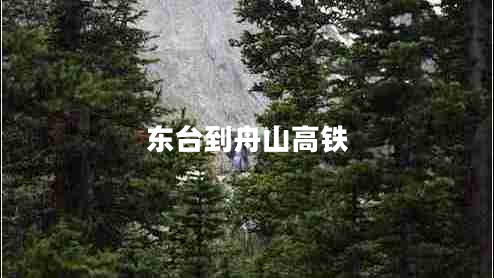 東臺(tái)到舟山高鐵