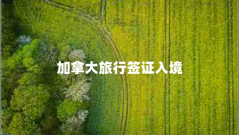 加拿大旅行簽證入境