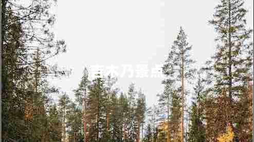 吉木乃景點 吉木乃景點