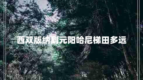 西雙版納到元陽哈尼梯田多遠