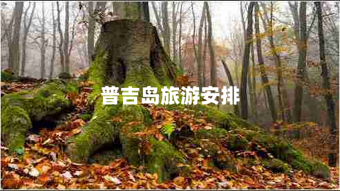 普吉島旅游安排