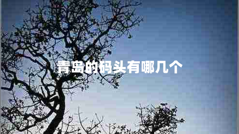 青島的碼頭有哪幾個