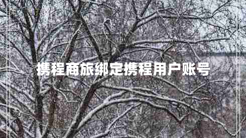 攜程商旅綁定攜程用戶賬號(hào)