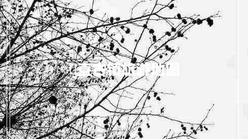 甪直古鎮(zhèn)旅游地圖