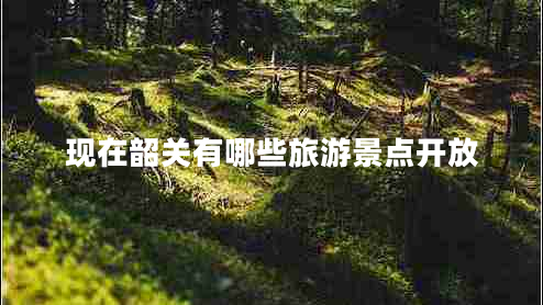 現(xiàn)在韶關(guān)有哪些旅游景點(diǎn)開放