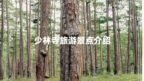 少林寺旅游景點(diǎn)介紹 少林寺旅游景點(diǎn)介紹