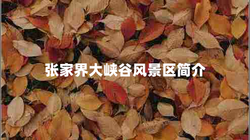 張家界大峽谷風景區(qū)簡介