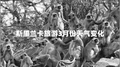 斯里蘭卡旅游3月份天氣變化