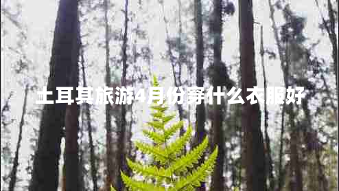 土耳其旅游4月份穿什么衣服好