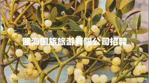 甌海國(guó)旅旅游有限公司招聘