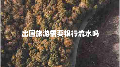 出國旅游需要銀行流水嗎