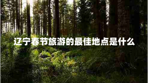 遼寧春節(jié)旅游的最佳地點(diǎn)是什么