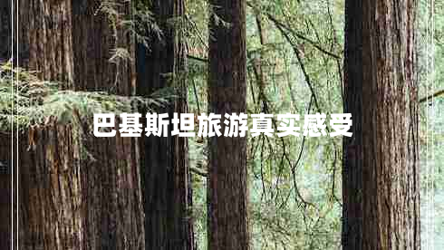 巴基斯坦旅游真實(shí)感受