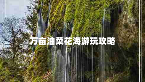 萬(wàn)畝油菜花海游玩攻略