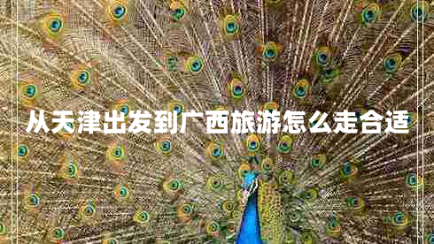 從天津出發(fā)到廣西旅游怎么走合適