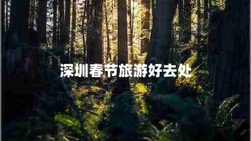 深圳春節(jié)旅游好去處