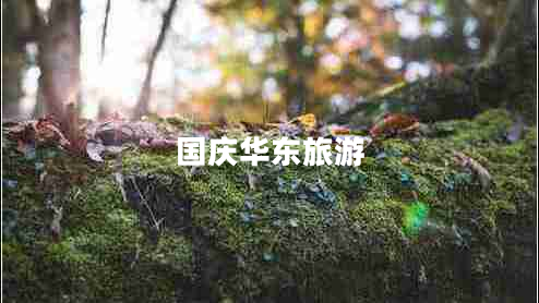 國(guó)慶華東旅游