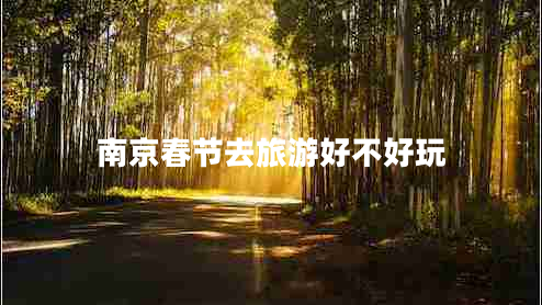 南京春節(jié)去旅游好不好玩
