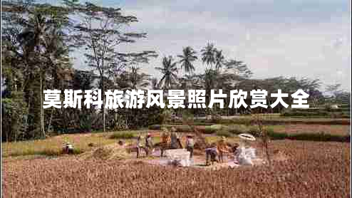 莫斯科旅游風景照片欣賞大全