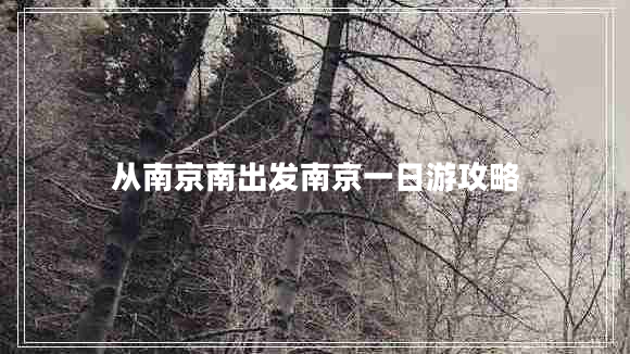 從南京南出發(fā)南京一日游攻略