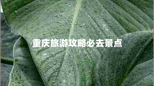 重慶旅游攻略必去景點(diǎn)