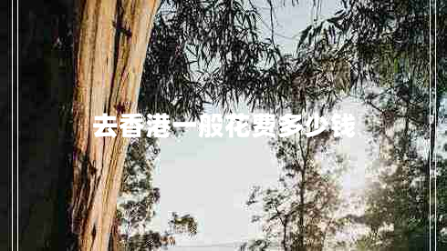 去香港一般花費(fèi)多少錢