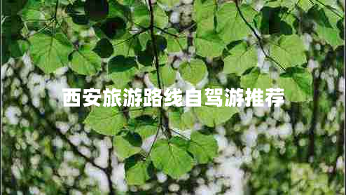 西安旅游路線自駕游推薦 西安旅游路線自駕游推薦