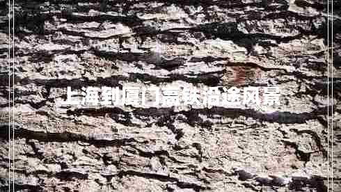 上海到廈門高鐵沿途風(fēng)景 上海到廈門高鐵沿途風(fēng)景