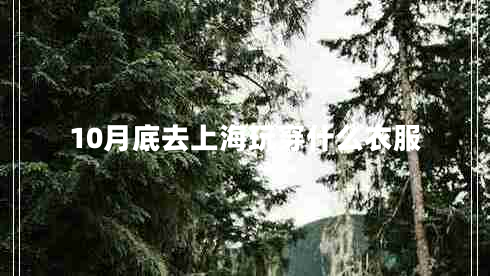 10月底去上海玩穿什么衣服 10月底去上海玩穿什么衣服