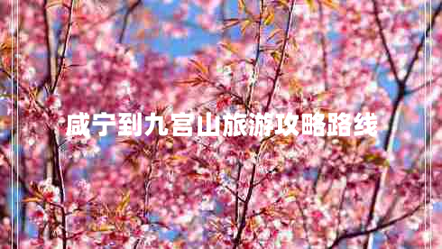 咸寧到九宮山旅游攻略路線