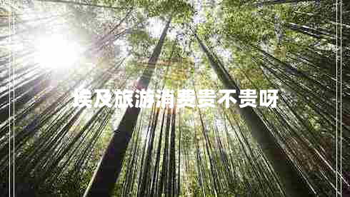 埃及旅游消費(fèi)貴不貴呀