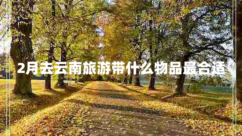 2月去云南旅游帶什么物品最合適