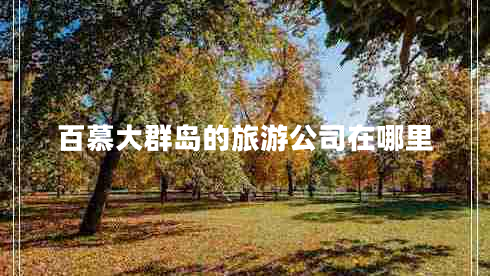 百慕大群島的旅游公司在哪里