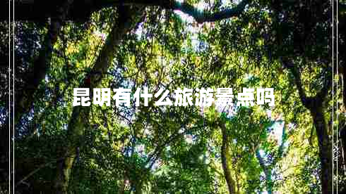 昆明有什么旅游景點嗎