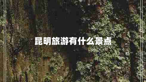 昆明旅游有什么景點