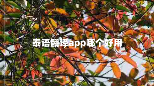 泰語翻譯app哪個好用