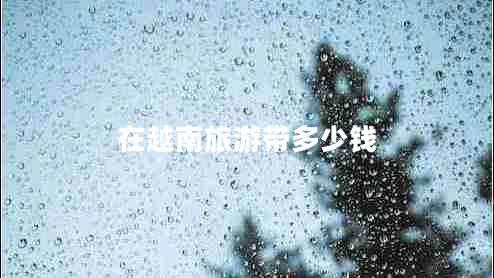 在越南旅游帶多少錢 在越南旅游帶多少錢