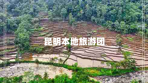 昆明本地旅游團(tuán)