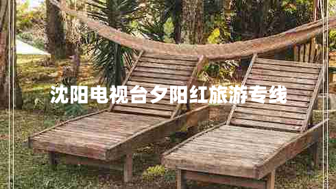 沈陽電視臺夕陽紅旅游專線