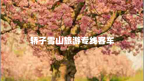 轎子雪山旅游專線客車