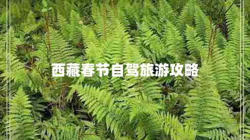 西藏春節(jié)自駕旅游攻略