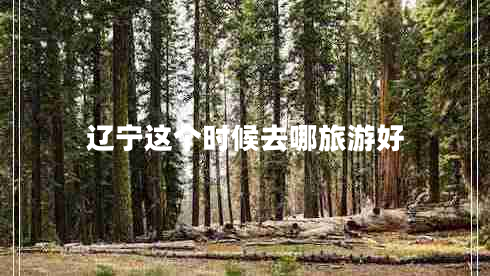 遼寧這個時候去哪旅游好