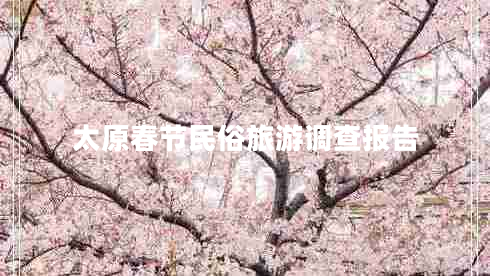 太原春節(jié)民俗旅游調(diào)查報(bào)告