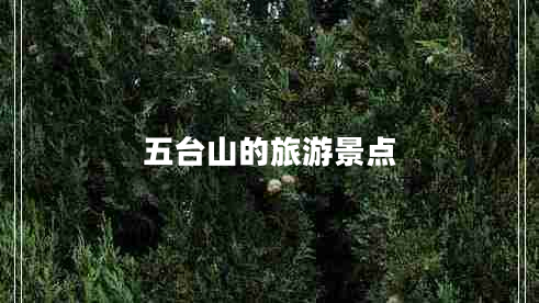 五臺山的旅游景點