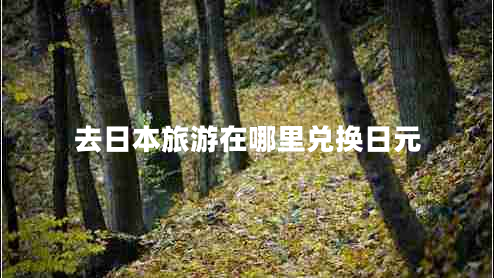 去日本旅游在哪里兌換日元