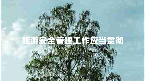 旅游安全管理工作應(yīng)當(dāng)貫徹