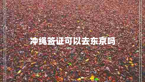 沖繩簽證可以去東京嗎