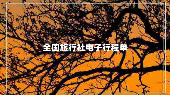 全國(guó)旅行社電子行程單
