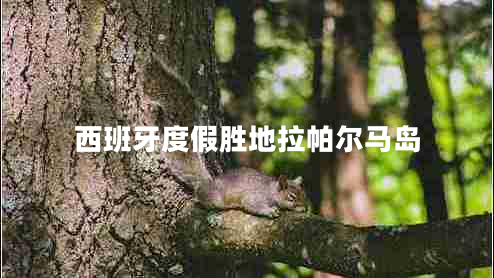 西班牙度假勝地拉帕爾馬島